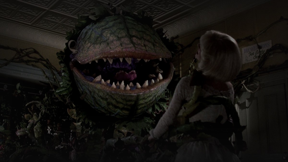 Still from Little Shop of Horrors (1986) — letterboxd (pre-brightened 1.35, baked 18.5)